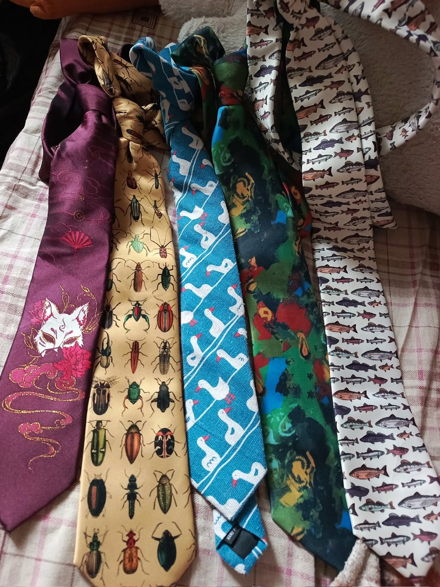 morokrbk's tweet photo. do you like my ties collection https://t.co/6HUlceaJHa