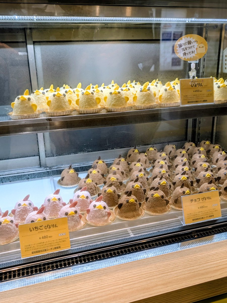 okachang0106's tweet photo. 🐥🐥🐥 https://t.co/JTmbp9Iqa2