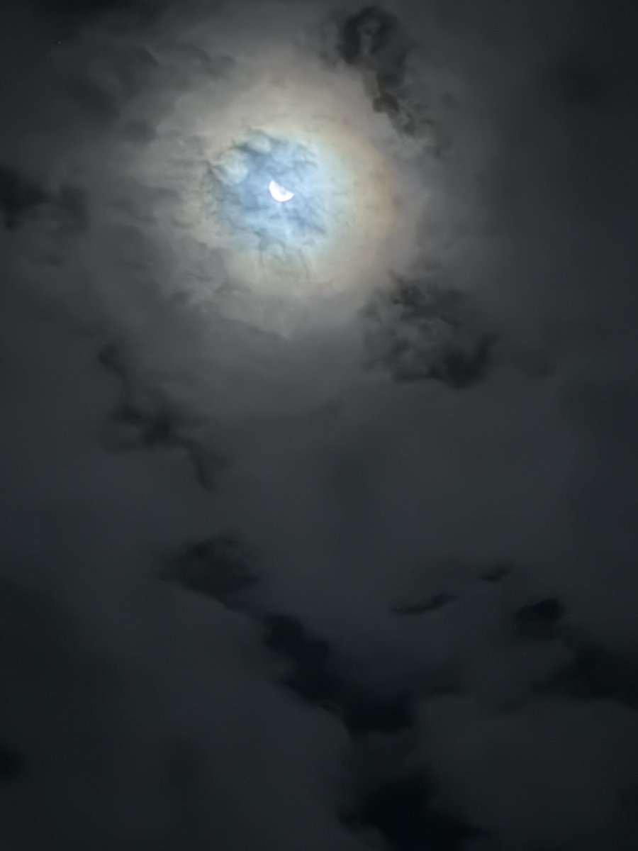 gothicfauna's tweet photo. ⋆｡ﾟ☁︎｡⋆｡ ﾟ☾ ﾟ｡⋆
hello beautiful https://t.co/8bX6sGIWeJ