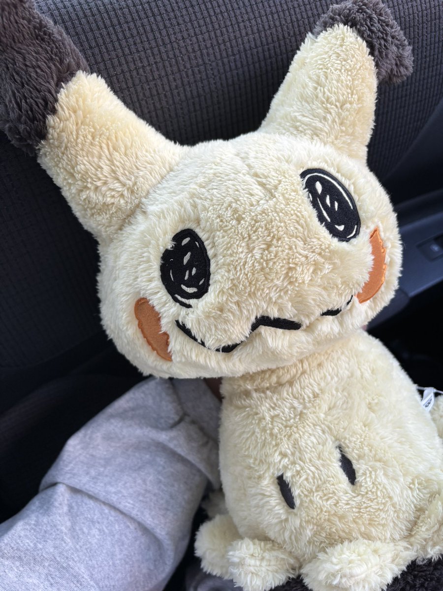 asuka36em's tweet photo. ぬいぐるみはもう増やさないって言ったのに…私…😇
千円くらいで取れたからまぁヨシとする(言い訳💸) https://t.co/1BLt1WTjAh