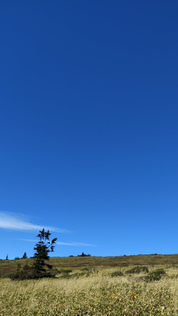 solarcoaster_sr's tweet photo. なかなかダイナミックで下りのリフトはスリルありそうだった横手山
と、渋峠付近の散策路 https://t.co/CI86r3l9rk