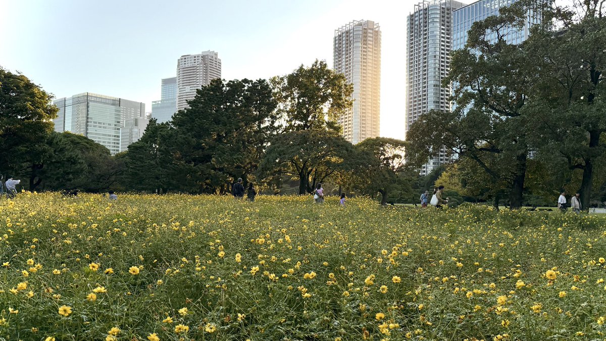 stevenbjohnson's tweet photo. Tokyo. https://t.co/i0jKTibC9L