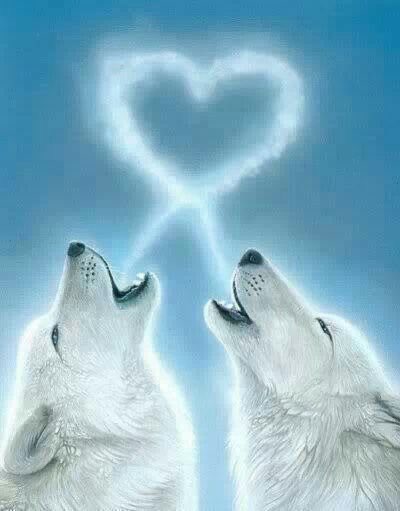 foortwttt's tweet photo. @lantheria محسوووبه يلا لعيونك https://t.co/QwCClnLa47