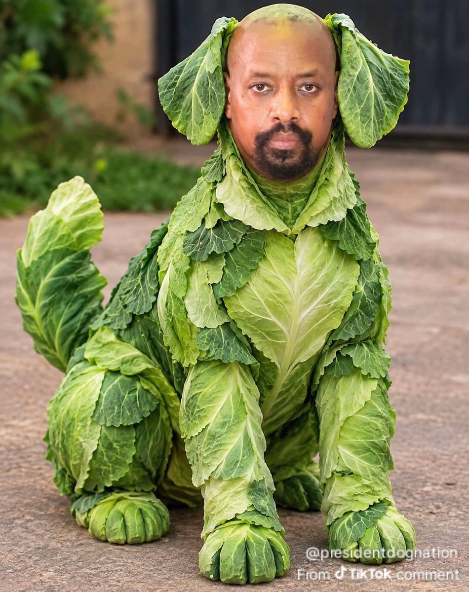 Princessma99766's tweet photo. @SsemujjuNganda1 Gen cabbage https://t.co/lsVK3wGzxq
