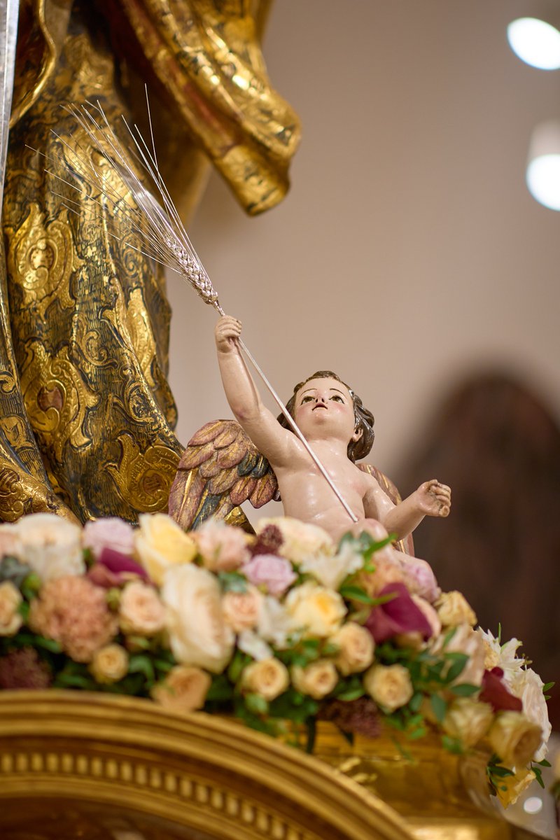 HdadSantaLucia's tweet photo. 𝑪𝑼𝑹𝑰𝑶𝑺𝑰𝑫𝑨𝑫𝑬𝑺

Con motivo de la procesión de nuestra bendita titular, Santa Lucía, Virgen y Mártir, mañana, domingo 4 de octubre, podremos contemplar un detalle de especial significado.

A los pies nuestra Sagrada Titular, un ángel custodio porta una espiga de plata cedida por nuestra querida Hermandad de Los Panaderos, con motivo de la celebración de su 425° aniversario.

Un hermoso gesto de fraternidad que cobra aún mayor sentido al coincidir nuestras dos benditas titulares en las calles de Sevilla durante la mañana de este domingo 4 de octubre.

Un pequeño detalle cargado de simbolismo que podremos contemplar durante la procesión y que servirá para estrechar, una vez más, los lazos de unión y devoción entre ambas corporaciones.

#santalucia2026
