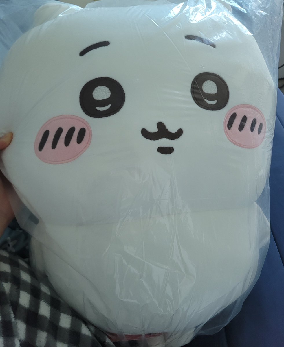 harin_imbabo's tweet photo. 짱큰 바보햄스터 데려왔어요! https://t.co/vF8WSLPCup