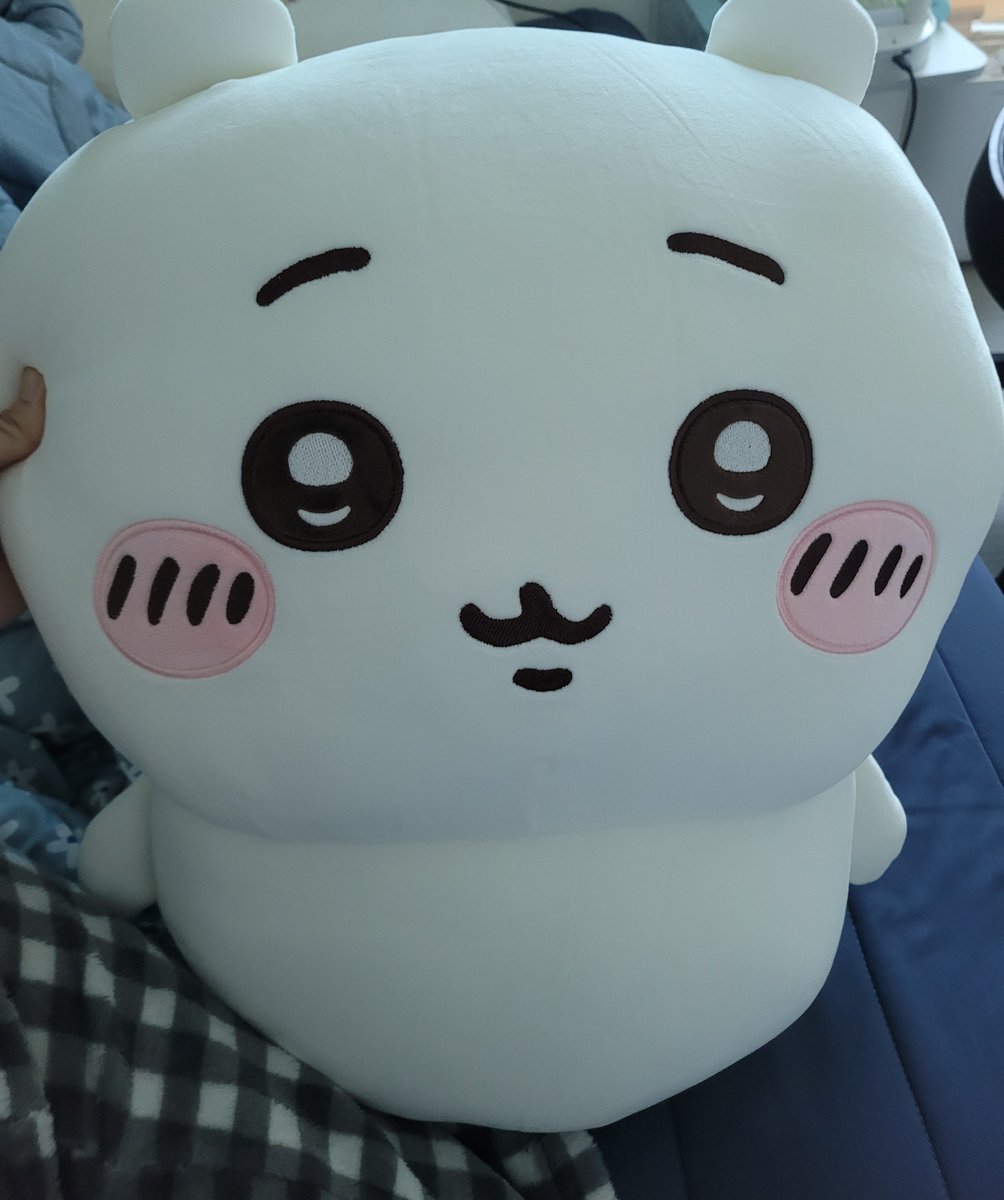harin_imbabo's tweet photo. 짱큰 바보햄스터 데려왔어요! https://t.co/vF8WSLPCup