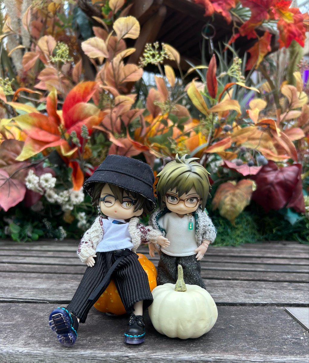 ruka8010m's tweet photo. 🍁🍁Autumn🍁🍁 https://t.co/Bb2aSST3Nu