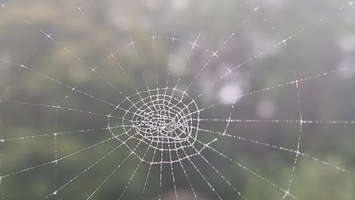 EdwardWeinert's tweet photo. Jesienna architektura i jej architekci. 🕸🍂🕷 #jesien #autumn https://t.co/ZXdvypoJcl