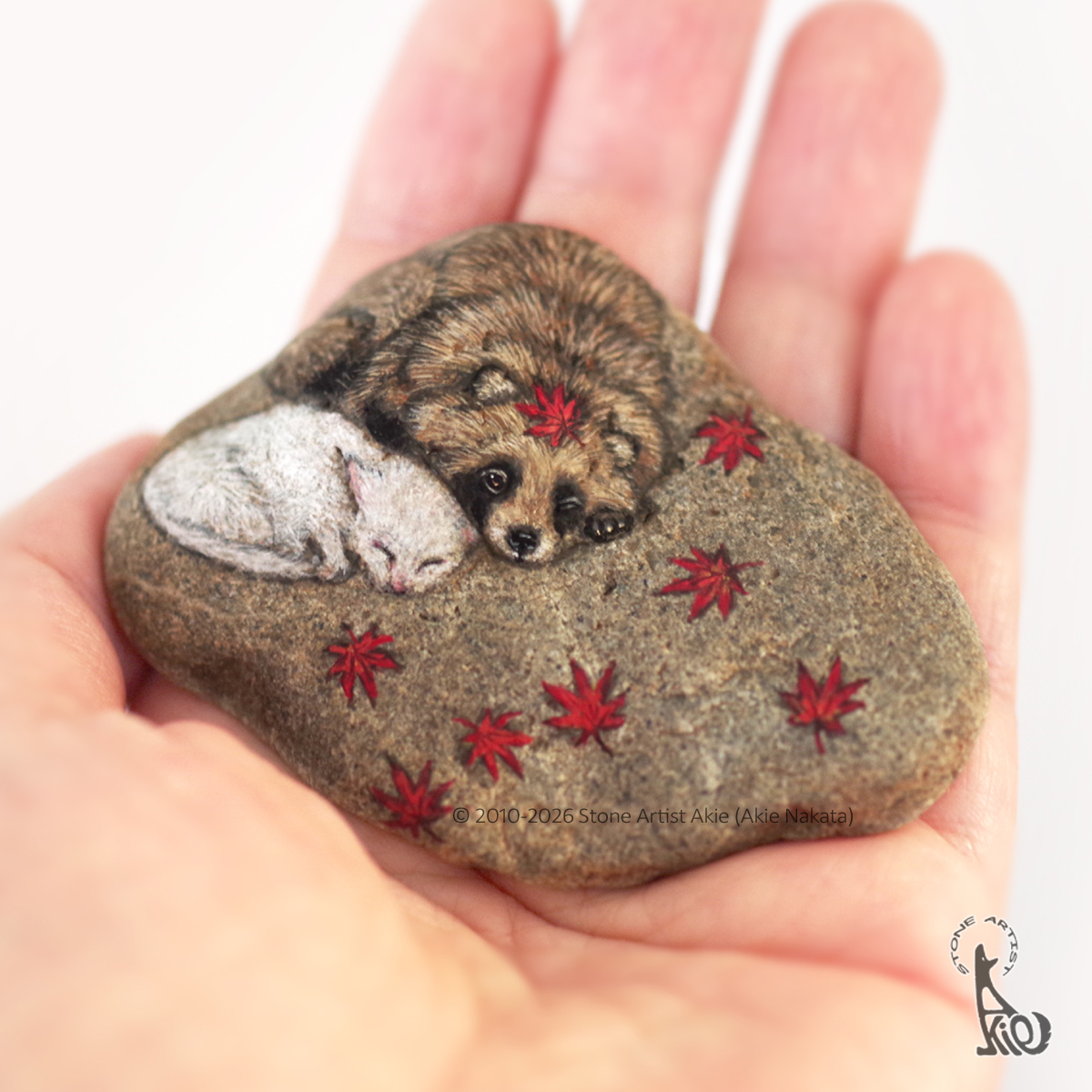 akie2525's tweet photo. ちいさな白猫とたぬき🐾
石の上で、秋のお昼寝🍁 https://t.co/DJ7MqtchIe