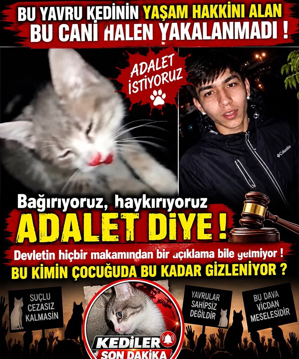 Ayten16670150's tweet photo. Lütfen bu iblisi unutmayalım ve unutturmayalım. Hiç bir suçlu cezasız kalmamalı. Bunun gücü nedir ki hala yakalanamamış olsun. https://t.co/kozPi3GBWI