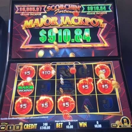 GGold3681's tweet photo. Down to the local this arvo with @dickohico and @RossAlbatross69 for a nice beer, slap and feed. Had a nice little win on the slaps today. Keep this one hidden from the misso haha.

Cheers,
Goldy https://t.co/ECGPUGjA9f