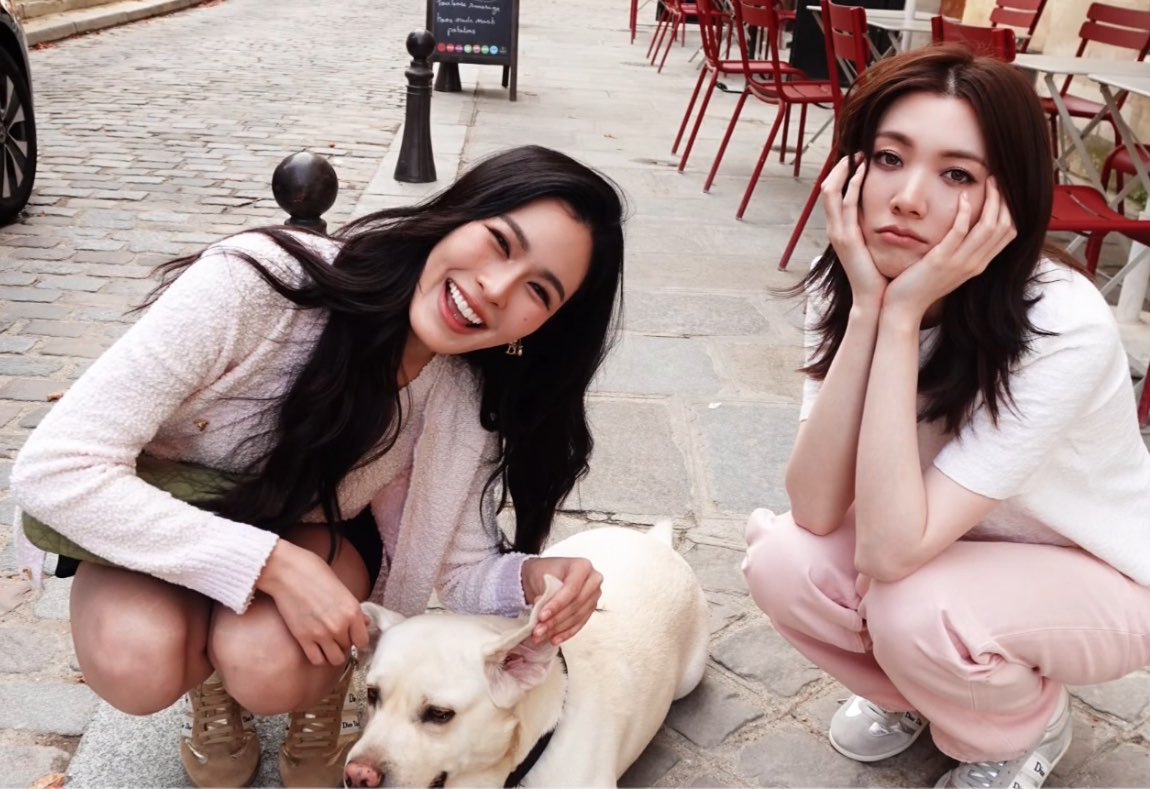Dream9502_'s tweet photo. family 🐶🤍 https://t.co/EOBZnyFTcJ