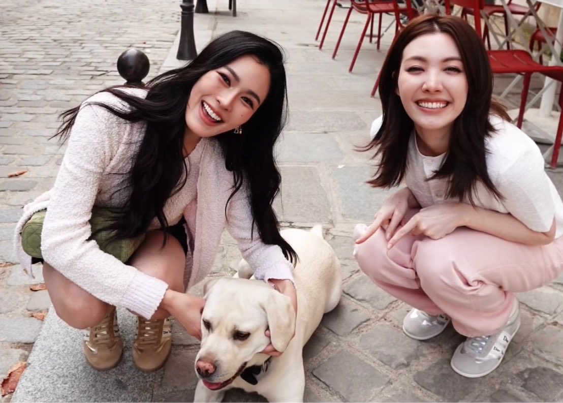 Dream9502_'s tweet photo. family 🐶🤍 https://t.co/EOBZnyFTcJ