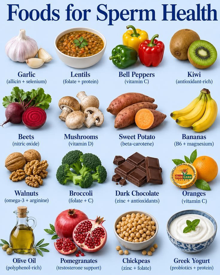 BorhanCoder's tweet photo. 🧬 Foods that may support healthy sperm &amp; reproductive health: garlic, lentils, bell peppers, kiwi, walnuts, broccoli, pomegranate &amp; Greek yogurt. 🥗

A balanced diet + healthy lifestyle can make a difference. https://t.co/Ixma0Ea0Am