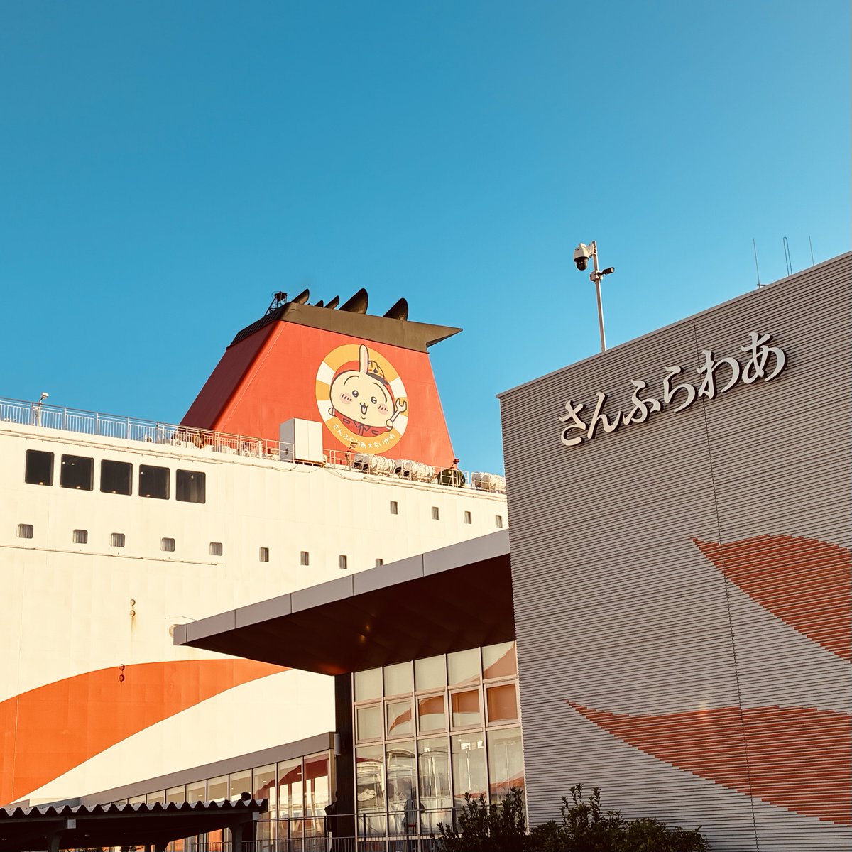 _o4's tweet photo. 大阪からちいかわなフェリーに乗ります。 https://t.co/jNfwJpjyBJ