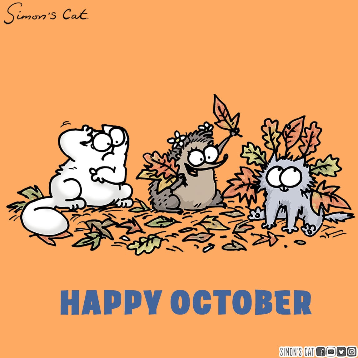 SimonsCatMeme's tweet photo. Spooky cozy season is upon us 😼 https://t.co/8J0MJ3W0ti