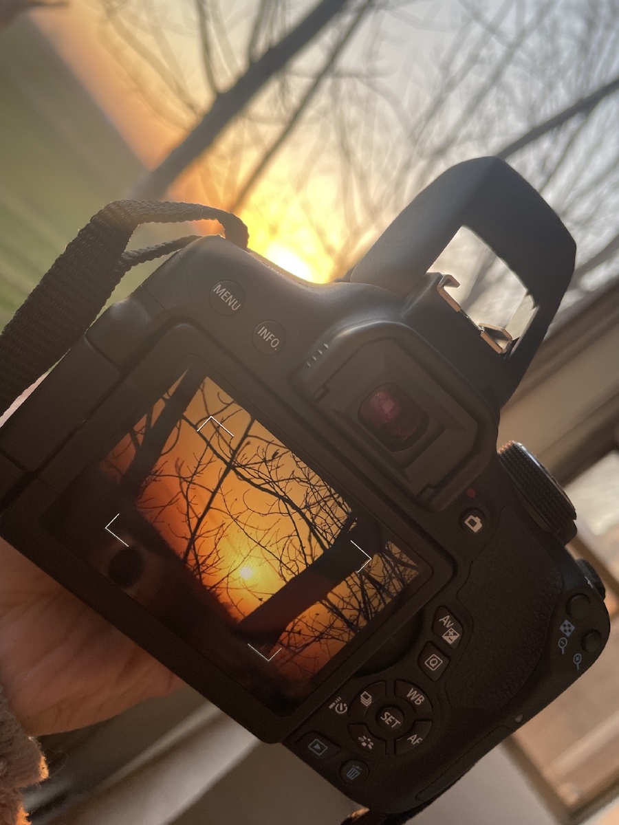 GraceRoberprni's tweet photo. New to photography Start with natural light! It’s free, flattering, and perfect for mastering exposure—no fancy gear needed. Just step outside and snap. https://t.co/hzYqnGpC95