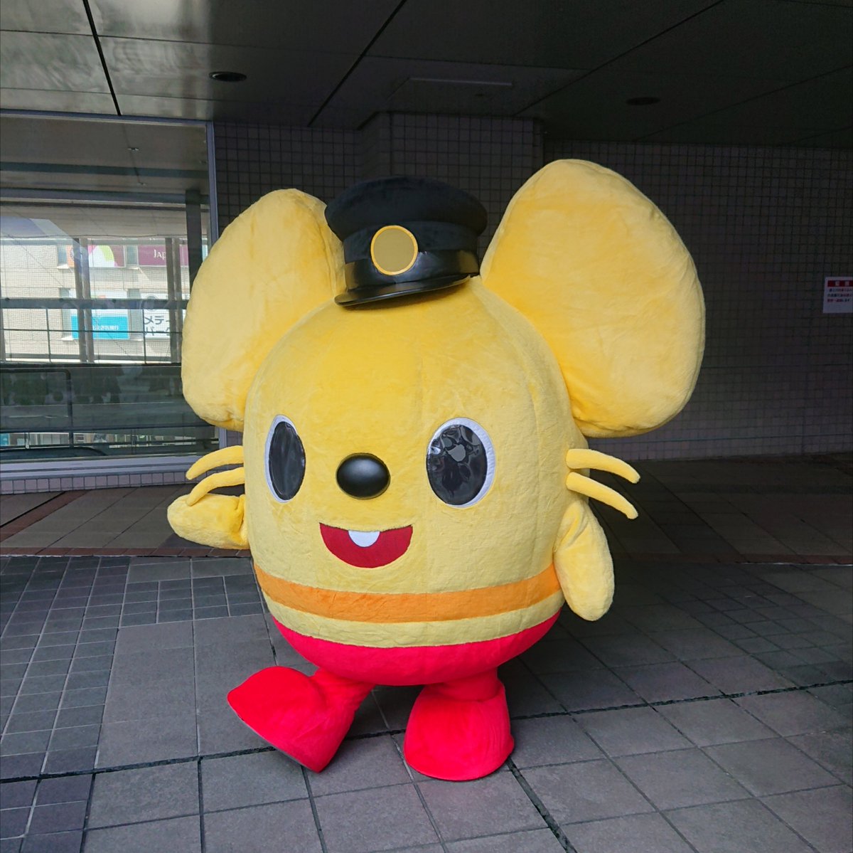 lily_a0102's tweet photo. 今日は上大岡の「ゆめおおおかまつり」へ
けいきゅん🚃
けいまるくん🚌
はまりん先輩🟠
ぽすくまくん🐻
かなみん🐭 https://t.co/EGbeSaPBN0
