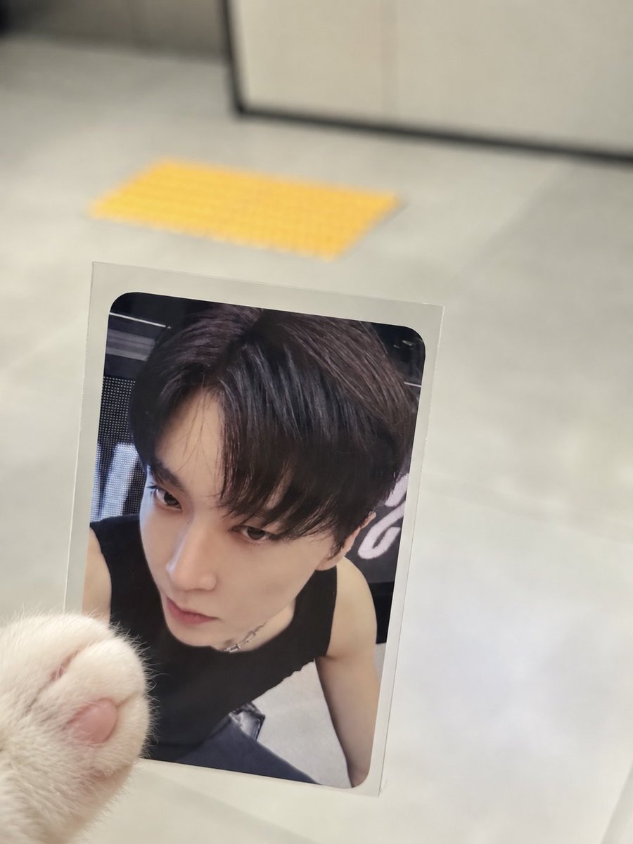 h2ejuk's tweet photo. 아무도 키캡포카 안 올려줘서 그냥 내가 삼.. -_- ;; https://t.co/Sv9Cqy73zX