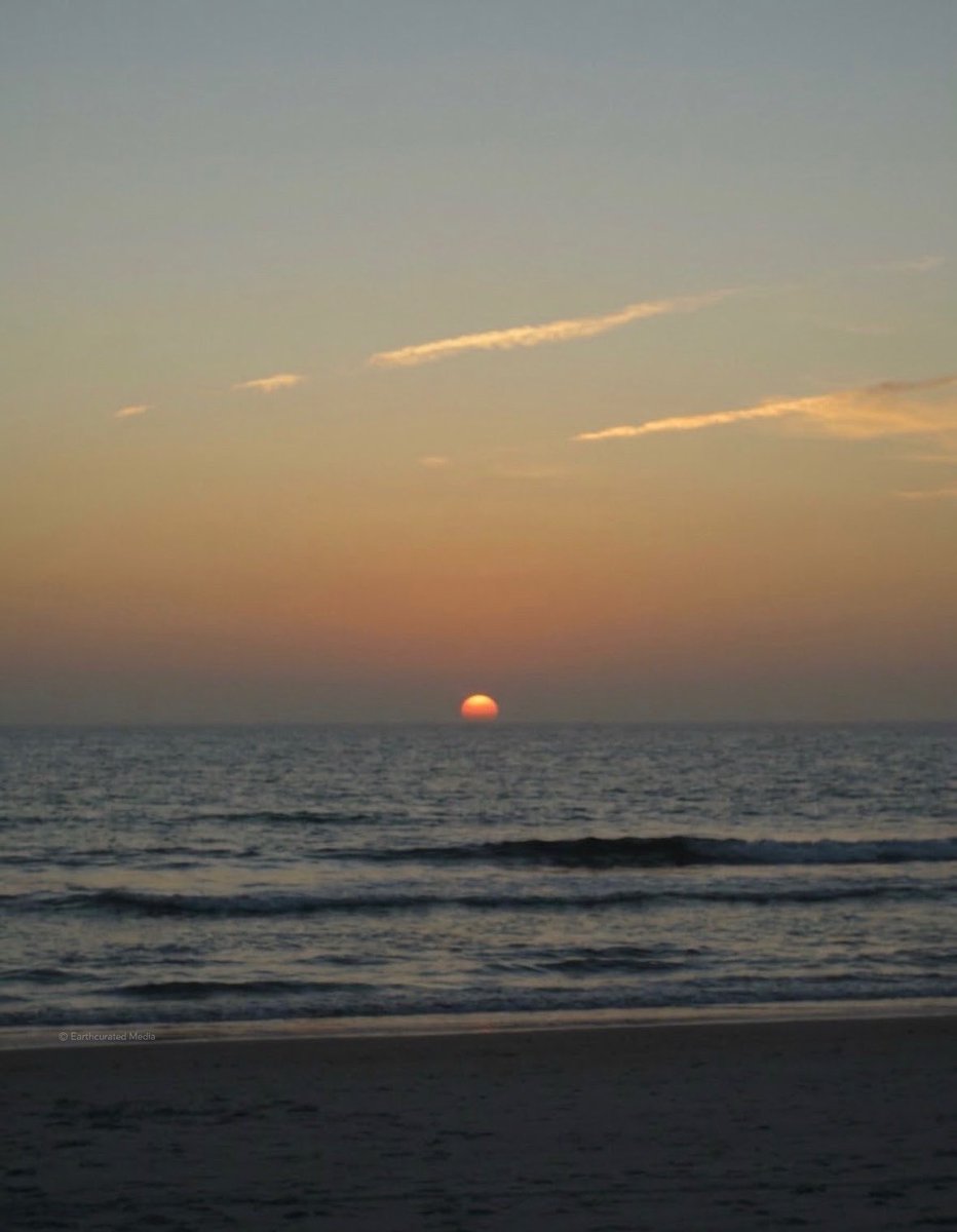 earthcurated tweet picture