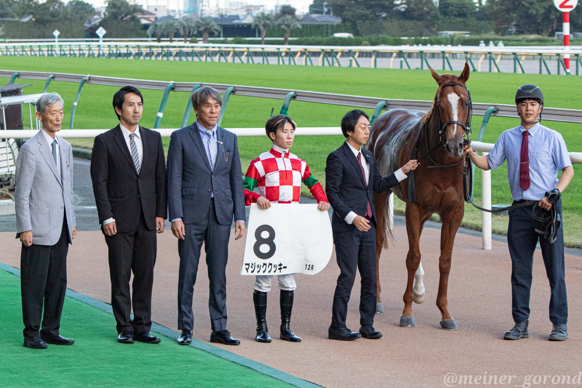 meiner_gorond's tweet photo. すごくうれしかったです https://t.co/N7W0NEYFym