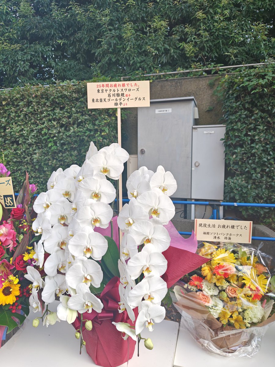achamaro0928's tweet photo. 雄平さん☺️ https://t.co/OkhXnokEar