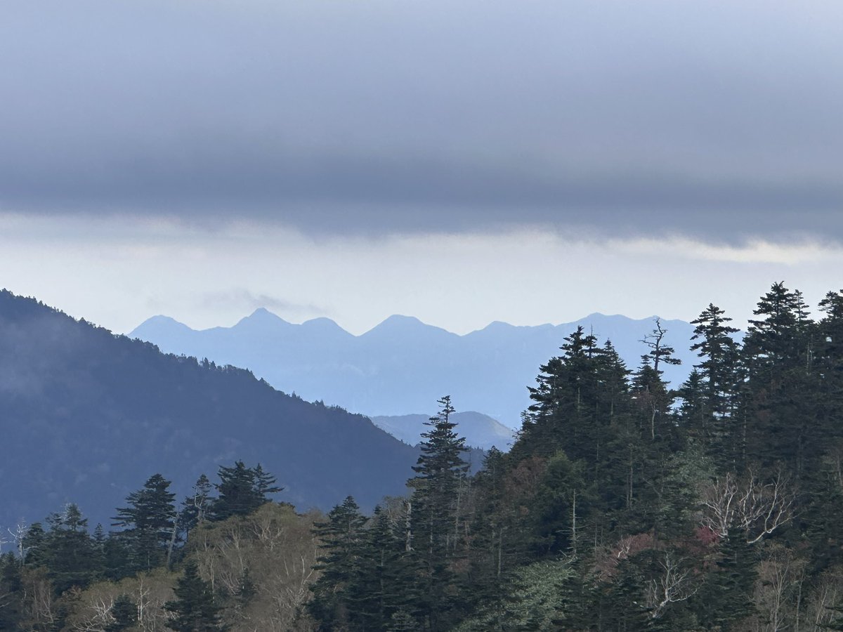 codocuman's tweet photo. 146/200 岩菅山。
最近100kg超えてたことが判明し、だから山が辛いのかと納得🥵
脚トレと涼しさのお陰でいいペースで登れました！
上はガスだったけど榛名が見えた。 https://t.co/Pl5zft9nqc