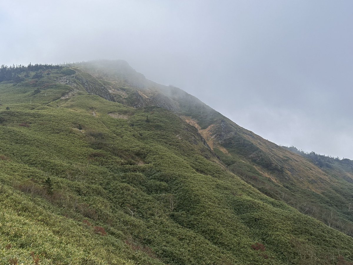 codocuman's tweet photo. 146/200 岩菅山。
最近100kg超えてたことが判明し、だから山が辛いのかと納得🥵
脚トレと涼しさのお陰でいいペースで登れました！
上はガスだったけど榛名が見えた。 https://t.co/Pl5zft9nqc