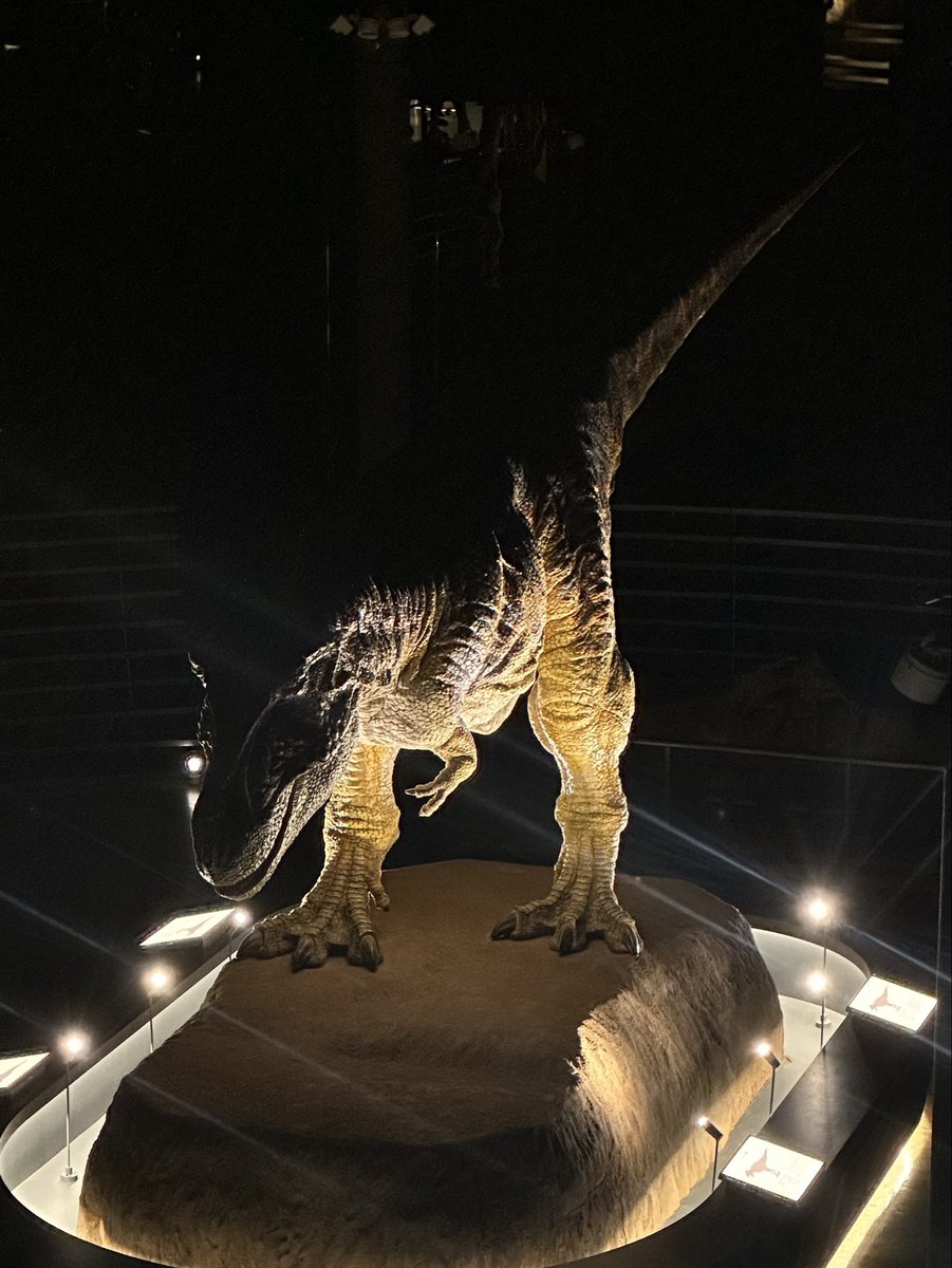 FukuiDinosaurs's tweet photo. 本日もナイトミュージアム🌙🏛️

恐竜博物館のナイトミュージアムは、夜だけの特別な照明演出で楽しむ常設展と、ミュージアムレストランでのビュッフェスタイルのディナーが魅力🦖✨

年に一度、事前申し込み制ツアー（抽選）限定で開催しています。

夜ならではの迫力と雰囲気❗️
お楽しみください🦖 https://t.co/ZrW8k6JIdr