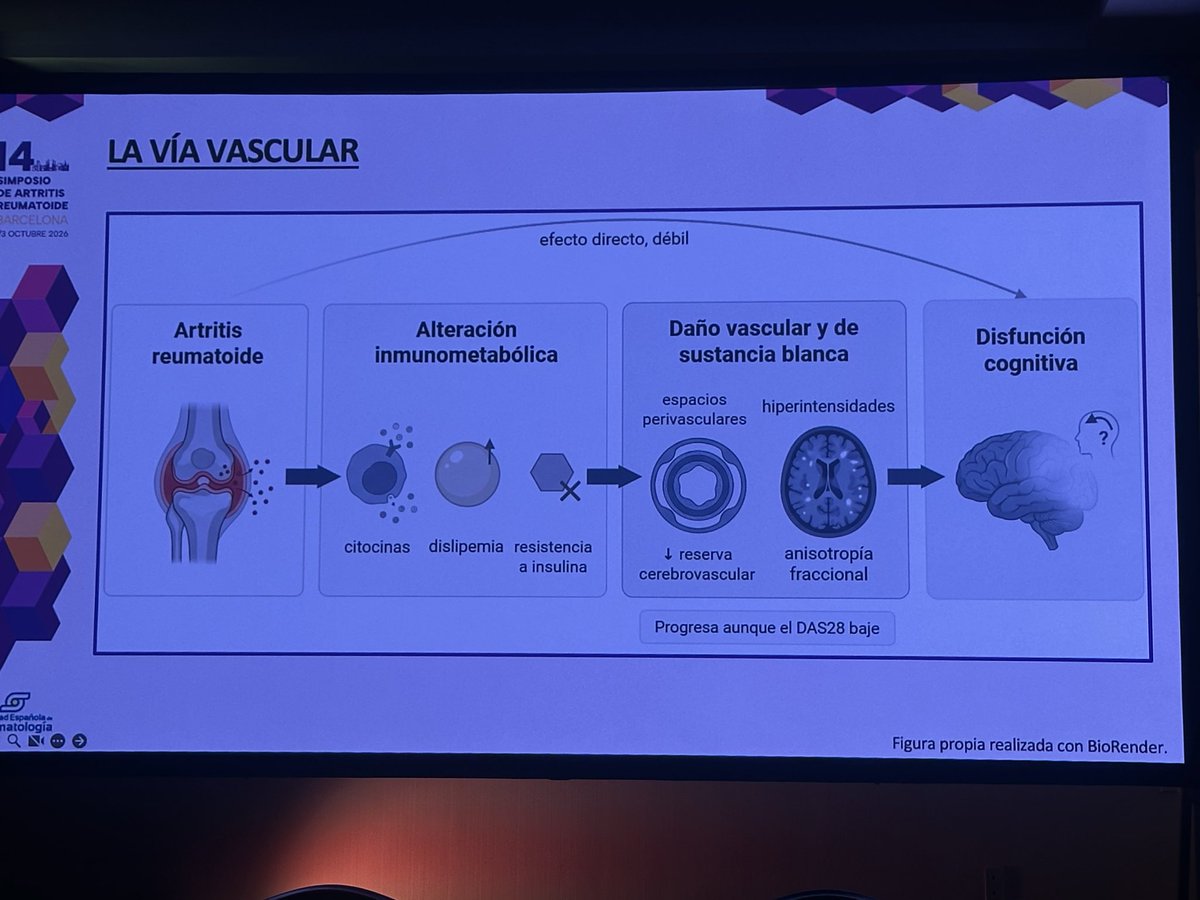 mariaj_morenom's tweet photo. #simposioAR26 @SEReumatologia
✅ Dr Ortiz . Neuroinflamacion 🧵 https://t.co/yx1aU5AZkO