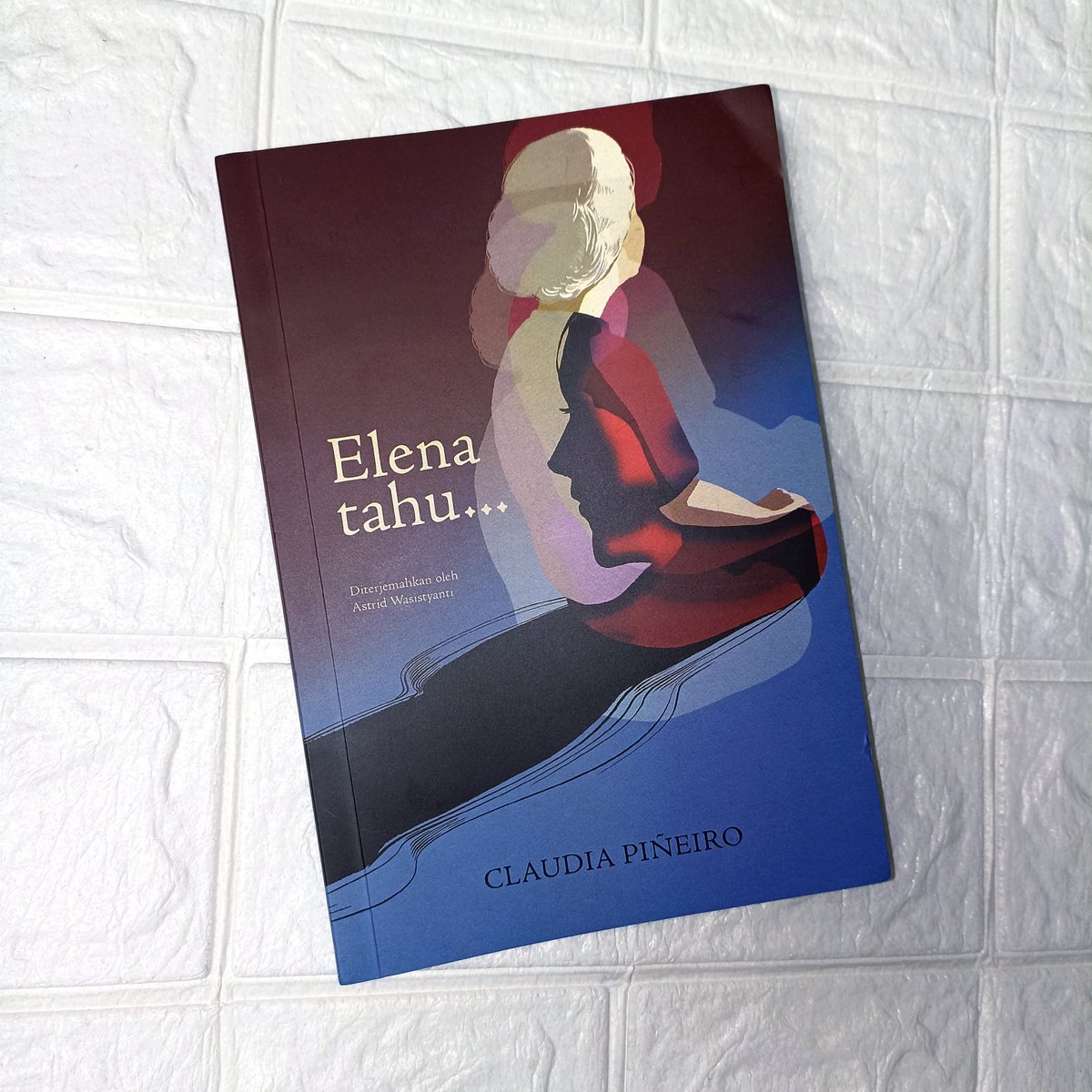 ulartaipan's tweet photo. Currently reading:
🤍Elena Tahu... - Claudia Piñeiro, Astrid Wasistyanti (translator)🤍 https://t.co/rOnzLhgtkI
