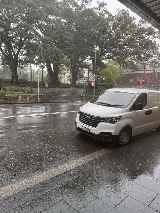 A white Hyundai van is parked on a wet street during a heavy rainstorm, with large trees and traffic lights visible in the background.