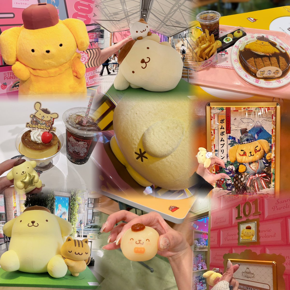 pmf_o's tweet photo. 成人済｜女｜関東

6月にピューロ年パスデビューしました！
お友達ほしいのでタグしますo̴̶̷᷄  ̫ o̴̶̷᷄
ポムポムプリンが好きです！🐶🍮
初心者なのでいろいろ教えてください´т ‧̫ т ̀

#サンリオ好きと繋がりたい  
#サンリオ好きさんと繋がりたい
#ピューロ好きさんと繋がりたい https://t.co/P2V5vkXw67
