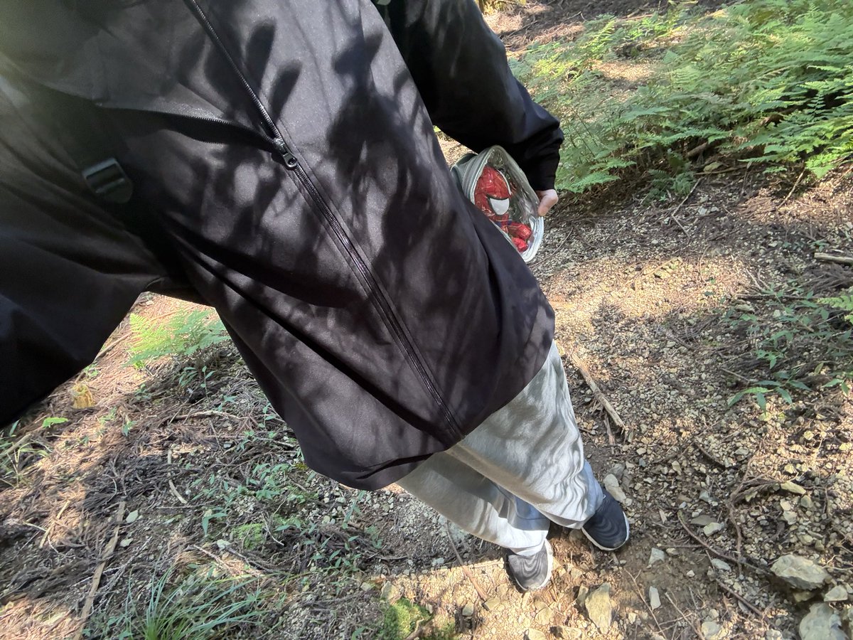 ShionOhta's tweet photo. 1人で登山をしたりね https://t.co/sueeVW3fkx