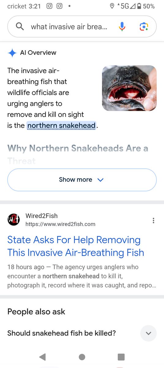 LesReed10's tweet photo. 🖥️WHATS BREAKING, DOWN IN THE ECO - SYSTEM, 🤔REASON
SNAKE HEAD FISH😶HAVE BECOME MORE ABUNDANT DUH' https://t.co/Nvrii6BIup