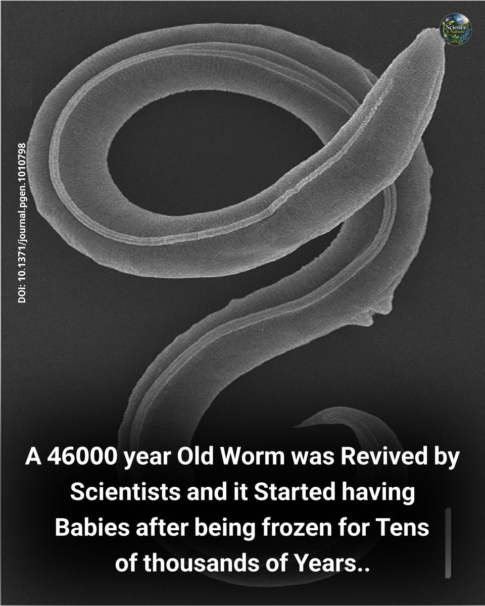 ScienceIsNew tweet picture