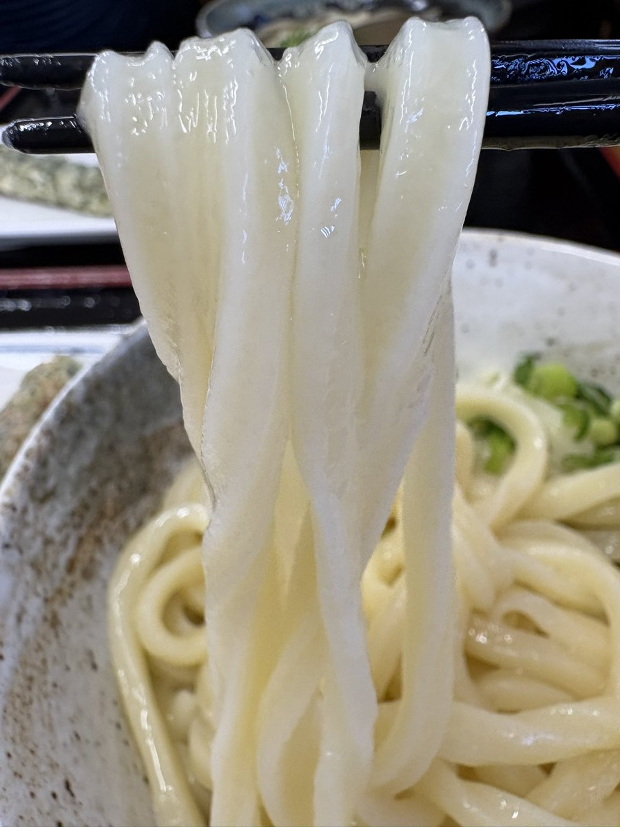 jyonasan_bunji's tweet photo. 徳島県の #手打ちうどんふる田 さんでいりこ油しょうゆうどん😆しっかりツルツル腰のある麺に上品ないりこ油がよくあって喉越し最高でした👍ご馳走様でした😋さぁウロウロして帰ろう♪
#うどん巡り
#ハーレーダビッドソン
#ブレイクアウト
#レブル https://t.co/NMG9Y5ZVG8