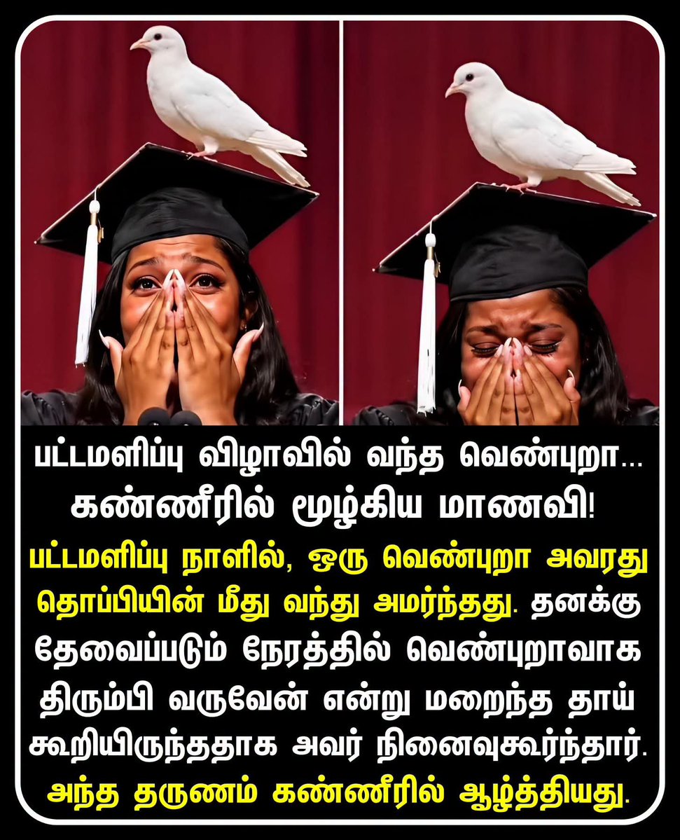 ThangaM54345464's tweet photo. இங்கும் கண்ணில் கசிவு https://t.co/MI21De9myz