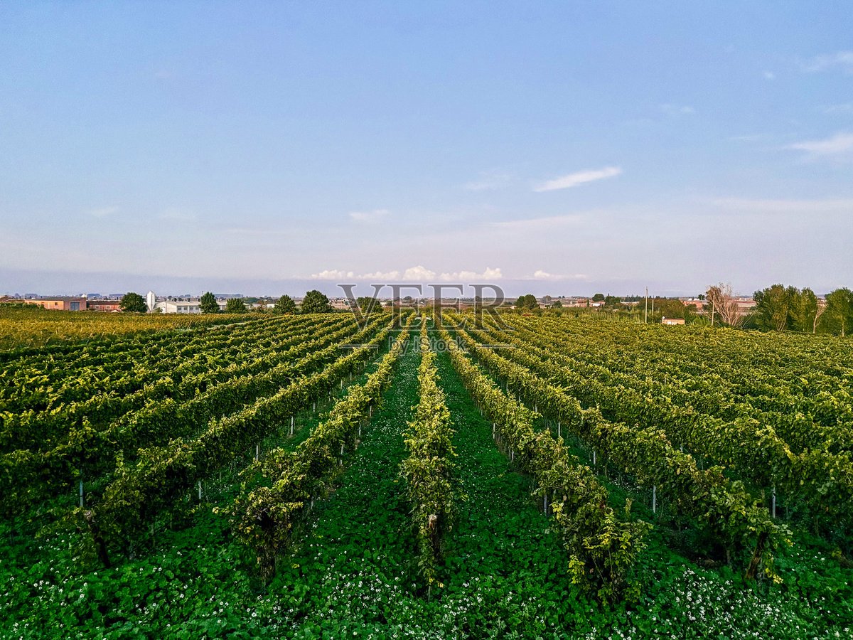 hz46IRW2cudaPJi's tweet photo. I saw a vineyard with a simple granary nearby, the sun was shining warmly there, it felt really nice. https://t.co/oUoVtvYJif