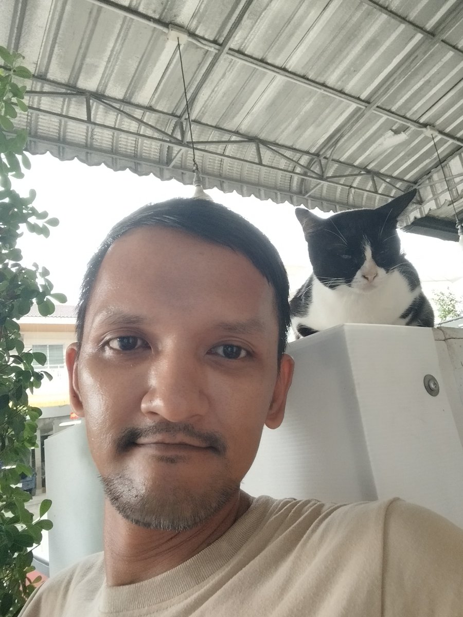 T_kenjr's tweet photo. ฝนก็ตก เหงาก็เหงา...จับแมวกินดีกว่า🤣 #หาดใหญ่ https://t.co/JY9Ck3usAm