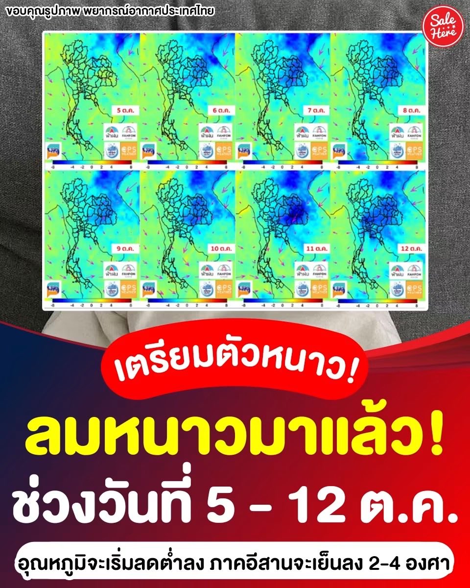 salehere1's tweet photo. 📣 เตรียมตัวหนาวกันได้เลย! ☁️🥶 #ลมหนาวมา���ล้ว ช่วงวันที่ 5 - 12 ต.ค. 69 นี้ ✨ จะเริ่มรู้สึกอากาศเย็นลง ตั้งแต่วันที่ 5 ต.ค. เป็นต้นไป ซึ่งในส่วนของฝั่งภาคอีสานจะเย็นลง 2-4 องศา บอ��เลยว่าคนรักอากาศหนาวเย็นคือเตรียมเฮ รื้อเสื้อกันหนาวออกมาซักรอกันได้เลยน้าา 🥰

*รูปนี้แสดงพยากรณ์อุณหภูมิ 7.00 น. ของแต่ละวัน ลบกับของวันนี้ 2 ต.ค.
*ร้อนหนาวเป็นความรู้สึก ที่อุณหภูมิเดียวกันแต่ละคนรู้สึกไม่เท่ากัน 

🙏🏻 ขอบคุณรูปภาพจาก พยากรณ์อากาศประเทศไทย

#SaleHere #เซลเฮียร์ #อากาศหนาว #ลมหนาว