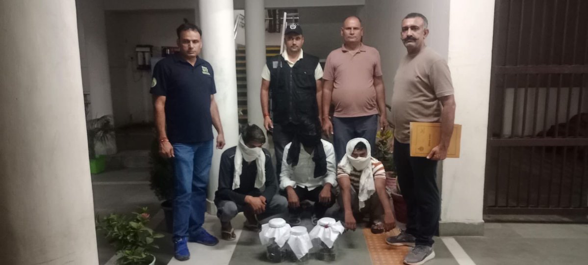 police_haryana's tweet photo. हरियाणा STF की दादरी टीम ने संगठित अपराध के खिलाफ कार्रवाई करते हुए हत्या की साजिश रचने के आरोप में 3 आरोपियों को गिरफ्तार किया। आरोपियों के कब्जे से 3 अवैध हथियार और 50 जिंदा कारतूस बरामद किए गए। मामले में नेटवर्क से जुड़े अन्य सदस्यों की तलाश जारी है।

#HaryanaPolice #HaryanaSTF #CrimeControl

@cmohry @NayabSainiBJP @csharyana @DGPHaryana