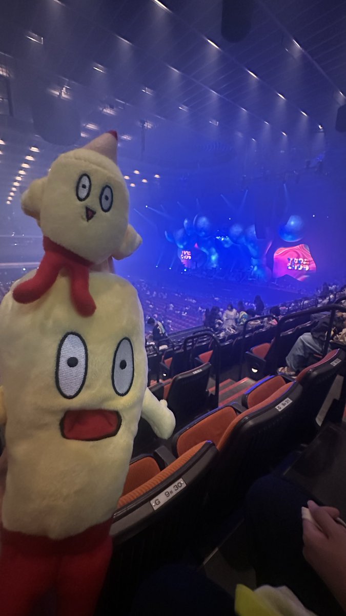 parluv_cs's tweet photo. スタンドっでもこんなに眺めいいんだ！
まじ楽しみ https://t.co/2S5oSqn8ZV