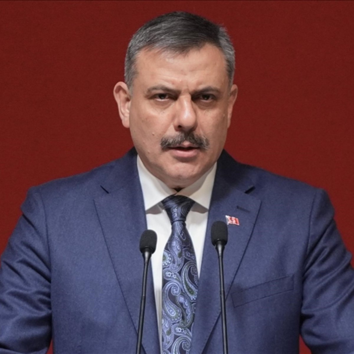 kiyashaber409's tweet photo. 🔴 Mustafa Çiftçi: "Hayvanseverleri davet ediyorum. Gelsinler barınaklardan birer ikişer sahiplenip baksınlar evlerinde." https://t.co/VFHIm1emXm