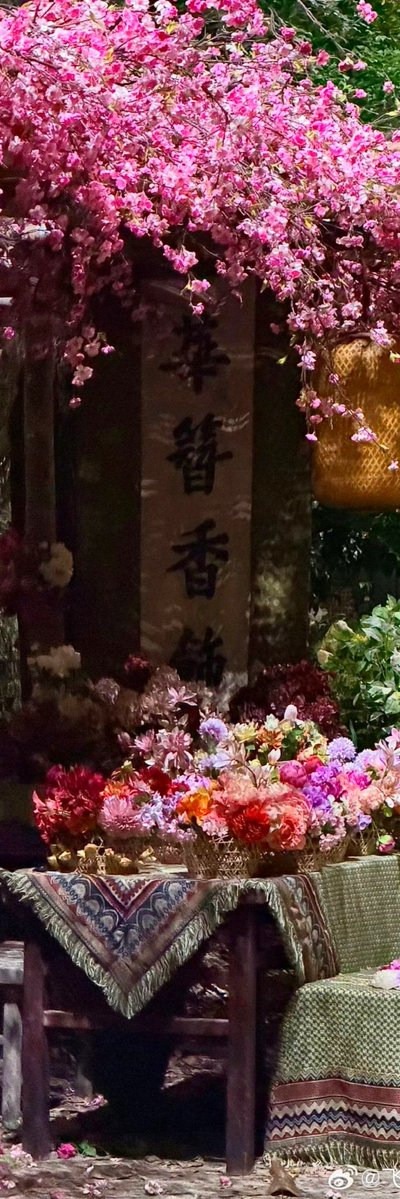 jooonyiie's tweet photo. everything i have seen about love in the shell is so stunning https://t.co/Q9z2ED5Rq0
