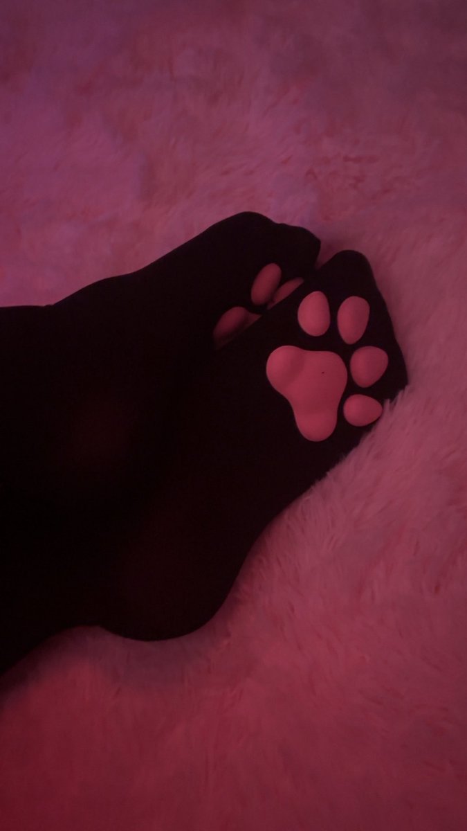 kittykaittwt's tweet photo. :0 #pawsocks #feet #feetfetısh #feetworshi̇p #petplay #cnc https://t.co/y54O6AfHAL