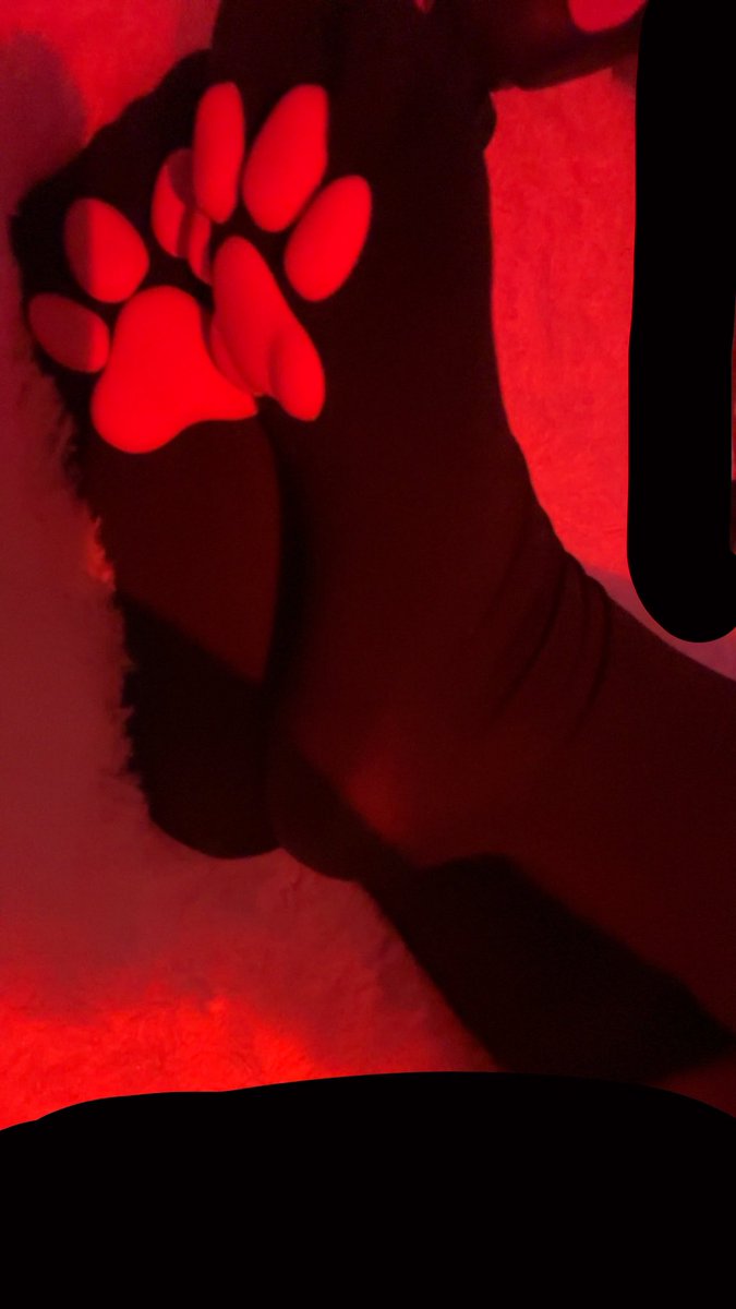 kittykaittwt's tweet photo. :0 #pawsocks #feet #feetfetısh #feetworshi̇p #petplay #cnc https://t.co/y54O6AfHAL