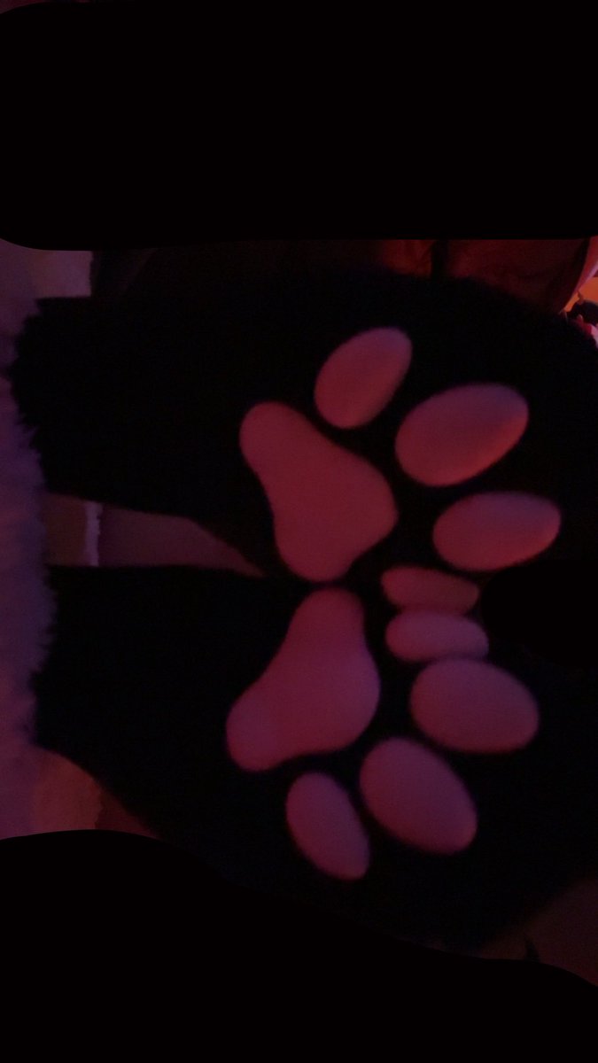 kittykaittwt's tweet photo. :0 #pawsocks #feet #feetfetısh #feetworshi̇p #petplay #cnc https://t.co/y54O6AfHAL