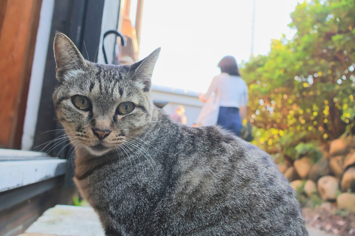 S_cape_y39's tweet photo. 常滑お写ん歩 https://t.co/WMsPIaOcRt